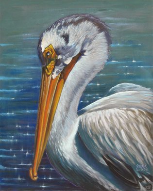 Steve Miller: 'Design With Purpose', 2009 Pastel, Wildlife.     Pelican waterfowl pastels  ...