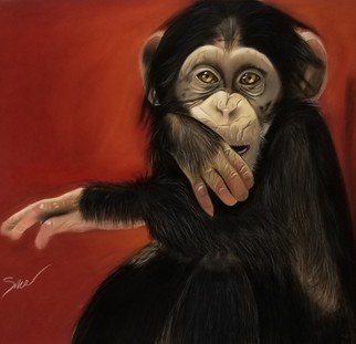 Antonio Snow: 'chimpy', 2019 Pastel, Animals. done in soft pastel on pastel mat...