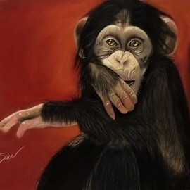 Antonio Snow: 'chimpy', 2019 Pastel, Animals. Artist Description: done in soft pastel on pastel mat...