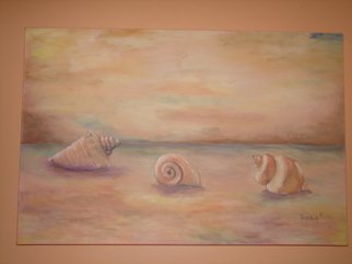 Sophia Stucki: 'Seashells on the Beach', 2007 Acrylic Painting, Beach.  Three large seashells on the beach , gallery canvas no need to frame, wire attached ready to hang. ...