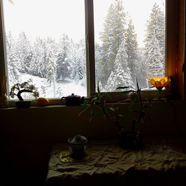 Debbi Chan: ' alone with a quiet spot of tea', 2010 Color Photograph, Home. Artist Description:     photos from Idaho.    ...