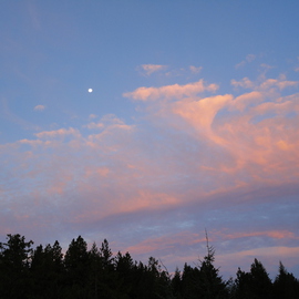 Debbi Chan: 'a pinkscape with moon', 2010 Color Photograph, Astronomy. Artist Description:        photos from idaho       ...