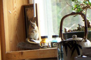 Debbi Chan: 'chipmunk in my studio', 2010 Color Photograph, Fauna. Artist Description:    photos from Idaho.                                                                                                                ...