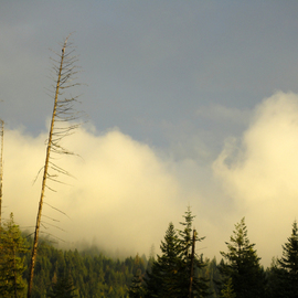 Debbi Chan: 'clouds and fog of another color', 2010 Color Photograph, Clouds. Artist Description:   photos from idaho. ...