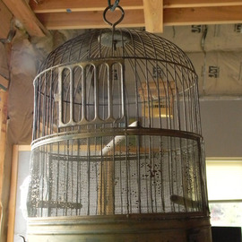 Debbi Chan: 'empty bird cage', 2011 Color Photograph, Birds. Artist Description:       photos from idaho.                     ...