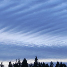 Debbi Chan: 'evening clouds', 2011 Color Photograph, Clouds. Artist Description:     photos from idaho.   ...