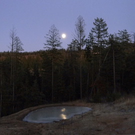 Debbi Chan: 'moon shot with beauty', 2011 Color Photograph, Beauty. Artist Description:         photos from Idaho.      ...