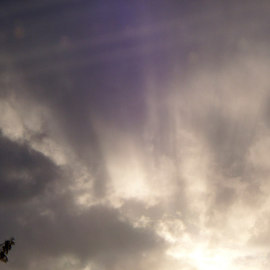 Debbi Chan: 'nuovolo', 2010 Color Photograph, Clouds. Artist Description:  photos from idaho.    ...