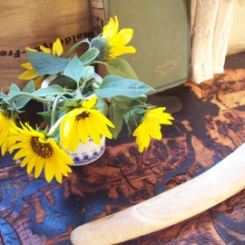 Debbi Chan: 'old book ivory and yellow flowers', 2010 Color Photograph, Home. Artist Description:             photos from Idaho. enjoy viewing them as much as i did taking them.           ...