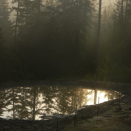 Debbi Chan: 'one little pond', 2011 Color Photograph, Beauty. Artist Description:    photos from idaho.   ...