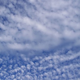 Debbi Chan: 'patterns in the sky', 2010 Color Photograph, Clouds. Artist Description:           photos from Idaho.                                                                                                      ...