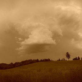Debbi Chan: 'sepia is the storm', 2011 Other Photography, Beauty. Artist Description:  photos from idaho      ...