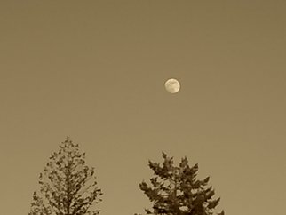 Debbi Chan: 'sepia moonscape', 2010 Other Photography, Clouds. Artist Description:          photos from idaho           ...