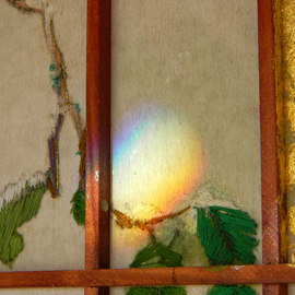 Debbi Chan: 'the rainbow effect', 2011 Color Photograph, Beauty. Artist Description:     photos from idaho.    ...