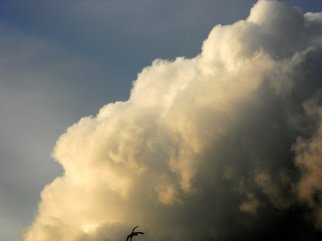 Debbi Chan: 'we look at clouds', 2011 Color Photograph, Clouds. Artist Description:         photos from idaho.       ...