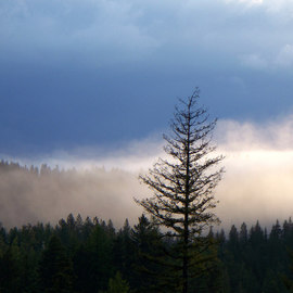 Debbi Chan: 'what a morning view', 2010 Color Photograph, Clouds. Artist Description:  photos from idaho. ...