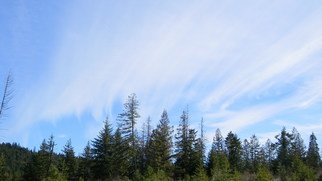 Debbi Chan: 'white streaks on blue sky', 2011 Color Photograph, Clouds. Artist Description:    photos from idaho. ...