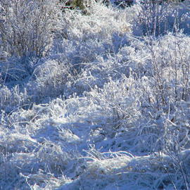 Debbi Chan: 'wonderland of white snow', 2012 Color Photograph, Beauty. Artist Description:         photos from Idaho.                ...