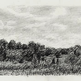 Keith Thrash: 'Summer Landscape', 1986 Other Drawing, Landscape. Artist Description:  Pen and ink. ...