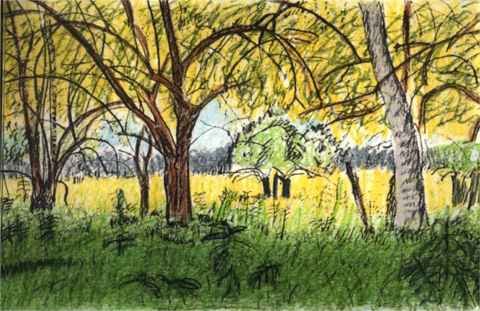 Artist Keith Thrash. 'Trees And Field' Artwork Image, Created in 1998, Original Drawing Other. #art #artist