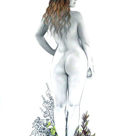 Anna Shipstone: 'Eve', 2011 Pencil Drawing, nudes. Artist Description:  Ref. for figure: tristin- stock. deviantart. com ...