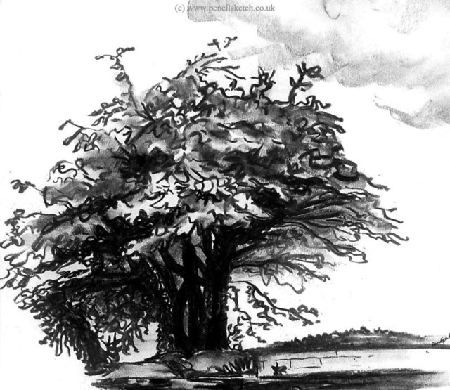 Anna Shipstone  'Tree', created in 1999, Original Watercolor.