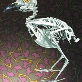 Stephen Hall: 'restricted diet', 2018 Acrylic Painting, Birds. Artist Description: This painting again has an ecological plea to it. The skeletal bird, the plastic bottle with ribbing echoes the ribs of the bird and the background of dying flowers. All in all a concern for our planet. Had I omitted the eye it would be merely a still ...