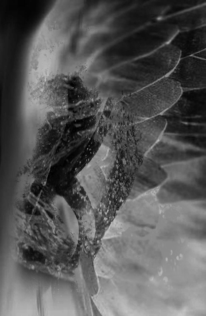 Artist Stephen Mead. 'Water Angel Excerpt 110' Artwork Image, Created in 2015, Original Photography Mixed Media. #art #artist