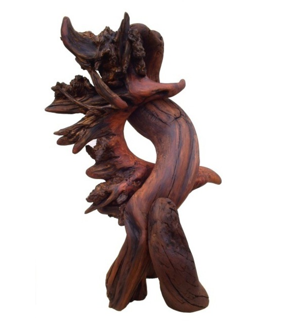 Daryl Stokes  'Captivated Redwood Abstract Sculpture', created in 2009, Original Sculpture Wood.