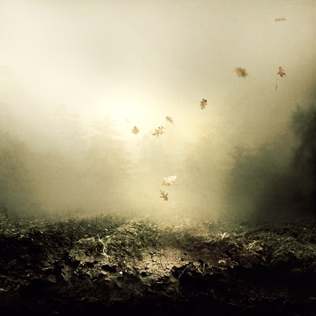 Martin Stranka  'And I Keep Falling', created in 2010, Original Photography Other.