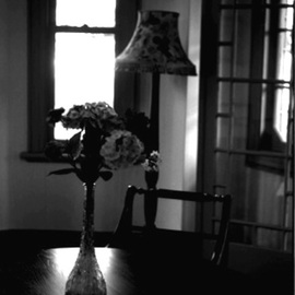 Hidesawa Sudo: 'Flowers', 2002 Black and White Photograph, Still Life. Artist Description: Archival Inkjet Print...