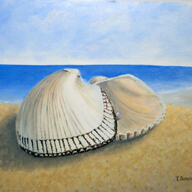Tatyana Bondareva: 'Mediterranean Shells', 2013 Oil Painting, Seascape. Artist Description:         shell, sea shore, oil painting,  nature,  Tatyana Bondareva, original painting, oil paintings, art, blue, pearl                 ...