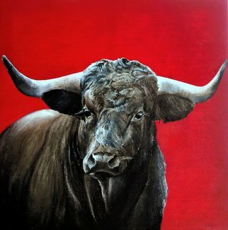 Tomas Castano: 'Toro Bravo', 2016 Oil Painting, Animals.  bulls head on a red background. Oil on canvas    ...