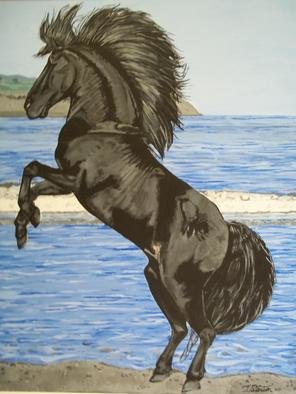 Teresa Peterson: 'Black Stallion', 2005 Acrylic Painting, Animals.   horse, animals, stallion,    ...