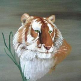Terri Cabral: 'rhama', 2004 Oil Painting, Animals. Artist Description: A rare Golden Tabby Tiger named Rhama. ...