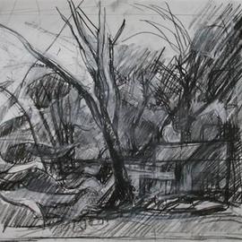 Timothy King: 'Backyard ', 2003 Charcoal Drawing, Abstract Landscape. 