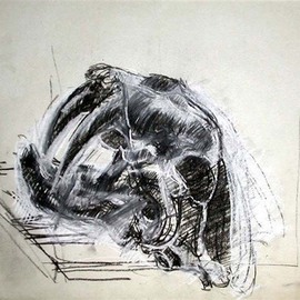 Timothy King: 'Sabertooth', 2004 Charcoal Drawing, Sea Life. 