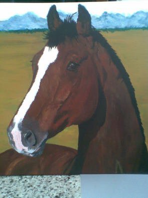 Tina Noya: 'Vos', 2011 Acrylic Painting, Equine.  Portrait of a gelding. ...
