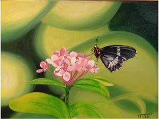 Robert Tittle: 'butterfly', 2004 Oil Painting, Botanical. Butterfly, Flowers,   Glass    ...