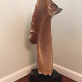 Terry Mollo: 'mask', 2018 Stone Sculpture, Abstract Figurative. Artist Description: Treelike totemic crescent form in Italian brown agate. ...