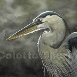 Colette Theriault: 'Great Blue Heron Portrait', 2009 Pastel, Wildlife. 