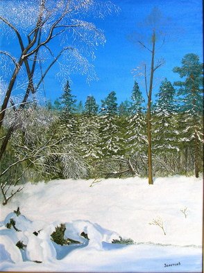 Vasily Zolottsev: 'After a snowfall', 2004 Oil Painting, nature. 