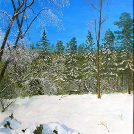 Vasily Zolottsev: 'After a snowfall', 2004 Oil Painting, nature. 