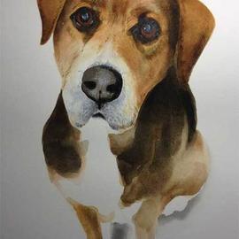 John Tooma: 'study of sam', 2015 Gouache Drawing, Animals. Artist Description: This lovely dog belongs to my friend Kim s niece, Sam passed away and this piece is in memory of this gentle creature. ...