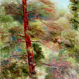 old pine By Vladimir Volosov