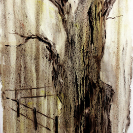 very old oak  By Vladimir Volosov