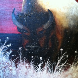Jamie Voigt: 'Snow Buffalo', 2012 Acrylic Painting, nature. Artist Description:  South Dakota Buffalo after snow fall  ...