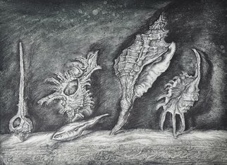 Leonid Stroganov: 'shells', 2013 Etching, Nature. At this work depicted shells. They are turn down, and such transformation gives of their forms fantastic view. As if  they are meteorites, for example. ...