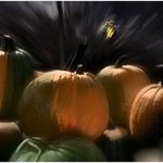 A Rush of Painted Pumpkins By Wayne King