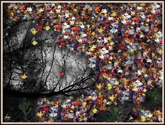 Wayne King: 'Pollacks Pool', 2014 Color Photograph, Expressionism.  Montage of images depicting a pool and silhouette with maple leaves around the edges. / pollack, jackson, pool, foliage, leaves, leaf, fall, autumn, water, Decorative Art, Fine Art, color. ...